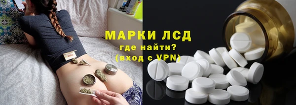 индика Балахна