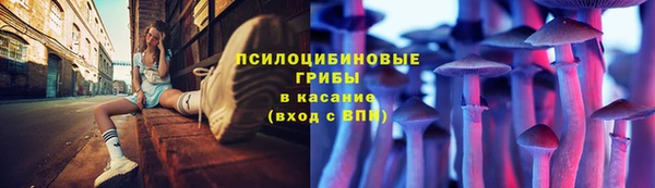 индика Балахна