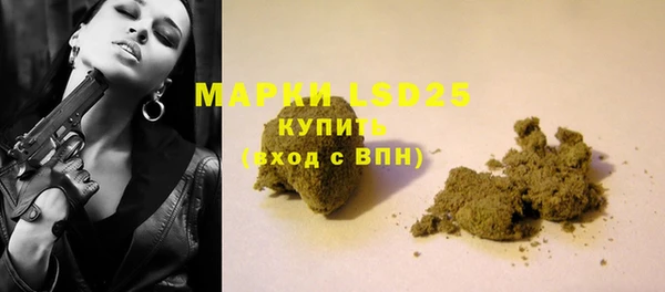 индика Балахна