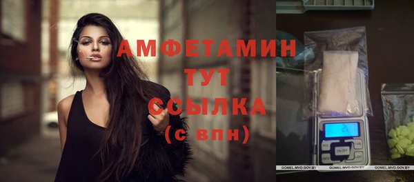 индика Балахна