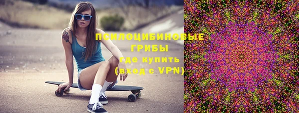 индика Балахна