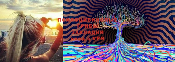 индика Балахна
