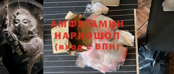 индика Балахна