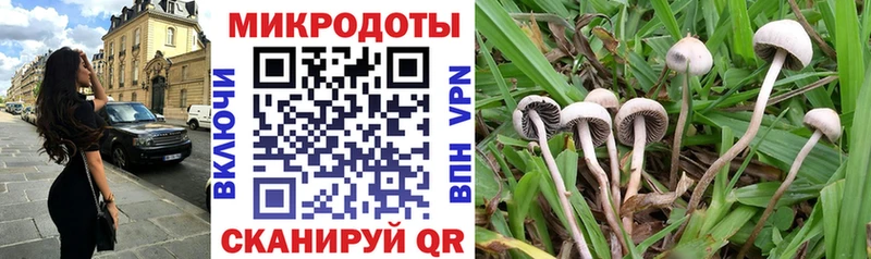 Псилоцибиновые грибы прущие грибы  даркнет сайт  Свободный 