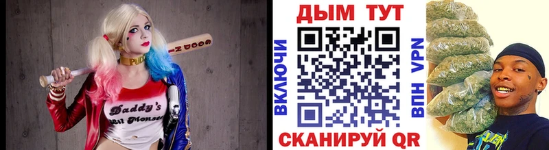 Бошки марихуана SATIVA & INDICA  магазин продажи наркотиков  Свободный 